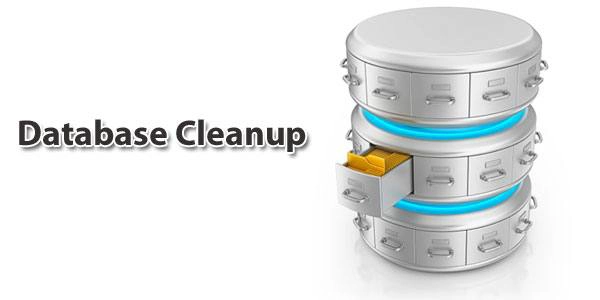 آموزش Database Cleanup در افزونه WP Fastest Cache