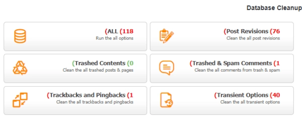 بخش Database Cleanup