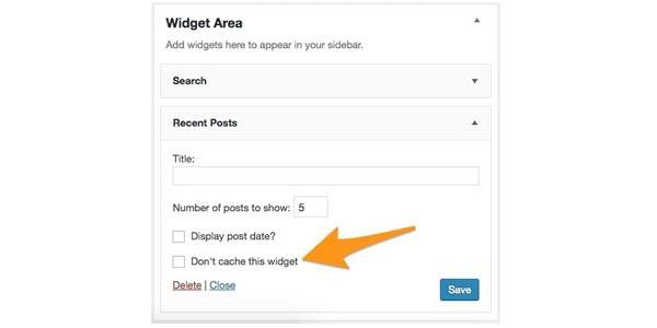 exclude-widget-cache