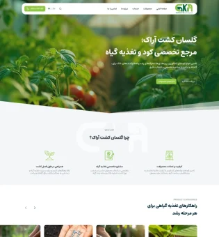 golsan